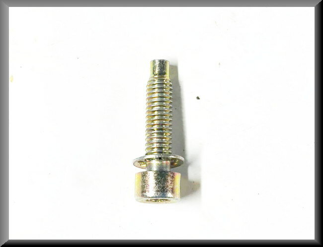 Allen bolt M6 25 mm (yellow passivated).