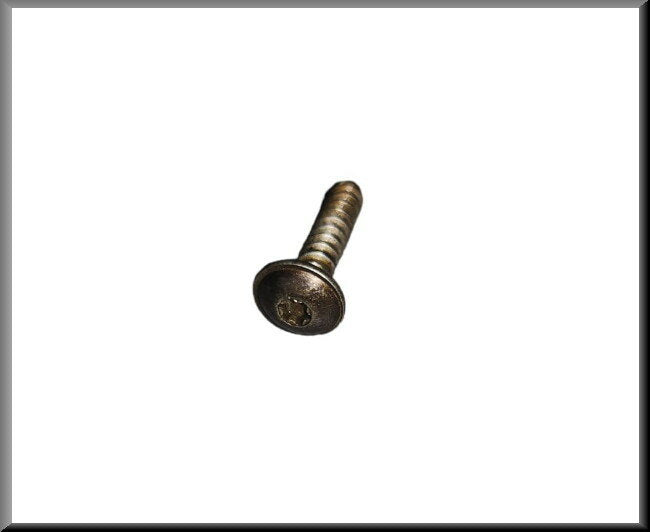 Vis Torx arrière becquet de toit – Renault 16 TX – OEM 7703016097