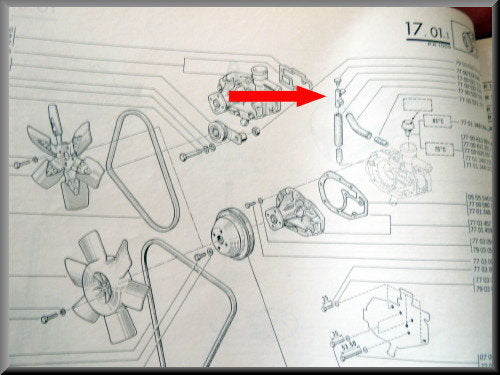 Ontluchting bij waterpomp (metaal) – Renault 12 – Renault 15 - Renault 17 - OEM 7700521733