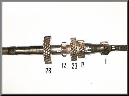 Primary shaft 385 gearbox (28 12 23 17 11 teeth) – Renault 16