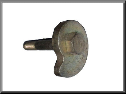 Stelbout torsievering achteras – Renault 16 – OEM 0824484600