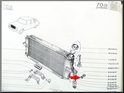 Radiateur aftapplug ring – Renault 16 – OEM 0853065000
