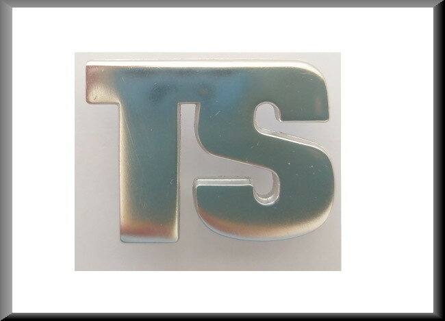 Embleem 'TS' – Renault 16 – OEM 7700515595
