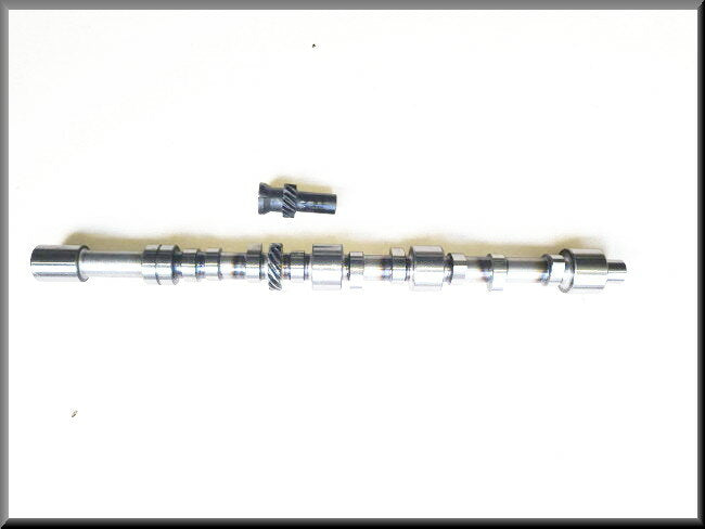 Nokkenas met ontstekingstandwiel Lotus Europa (697 en 821 Motor) – Renault 16 – OEM 749321