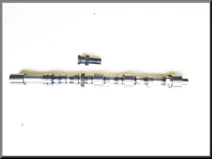 Nokkenas met ontstekingstandwiel Lotus Europa (697 en 821 Motor) – Renault 16 – OEM 749321