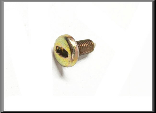 Achterklep schroef – Renault 16 – OEM 7703007099