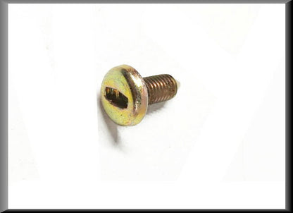 Achterklep schroef – Renault 16 – OEM 7703007099
