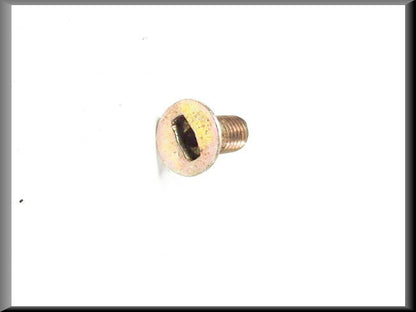 Schroef deurscharnier achterzijde – Renault 16 – OEM 7903004077