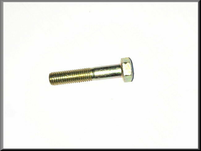 Boulon M12x40 (passivé jaune)
