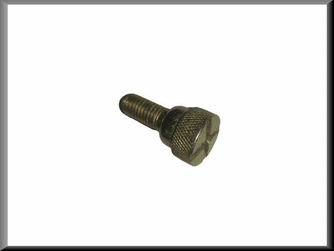 Rear seat backrest mounting bolt – Renault 16 – OEM 0608490800