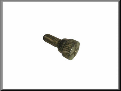 Rear seat backrest mounting bolt – Renault 16 – OEM 0608490800