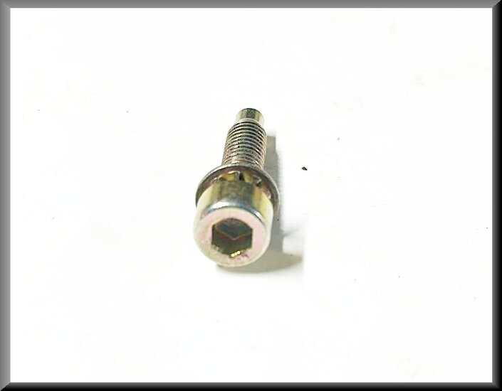 Vis à six pans creux M6 25 mm (passivée jaune) – Renault 16