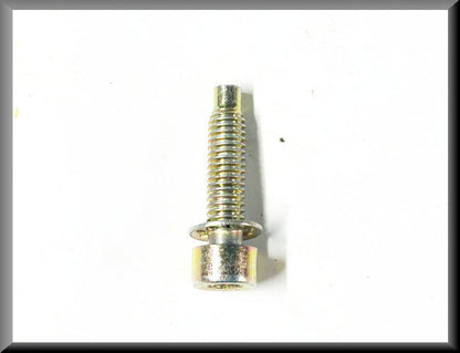 Allen bolt M6 25 mm (yellow passivated).
