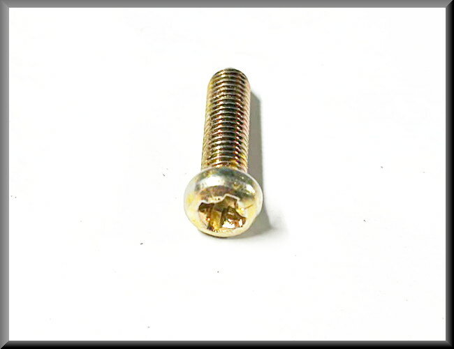 Vis à tête cruciforme M6x25 (passivé jaune) – Renault 16
