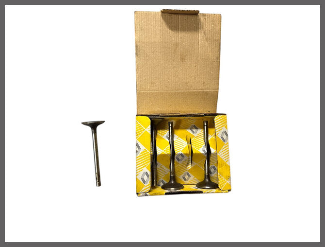 Intake Valve – Renault 18 - Renault Fuego – Renault 17 - Renault 20 - OEM 7700673329 / 7701458792 – NOS