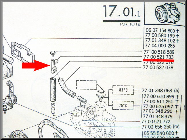 Ontluchting bij waterpomp (metaal) – Renault 12 – Renault 15 - Renault 17 - OEM 7700521733
