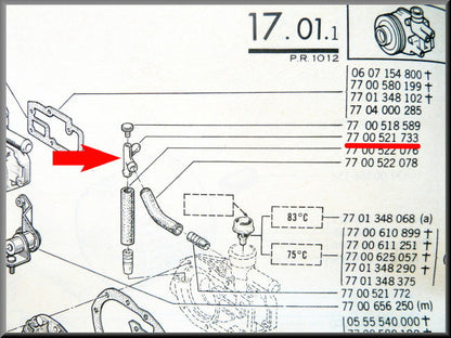 Ontluchting bij waterpomp (metaal) – Renault 12 – Renault 15 - Renault 17 - OEM 7700521733
