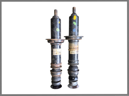 Front shock absorbers - Renault 20 - Renault 30 - OEM 7700676696
